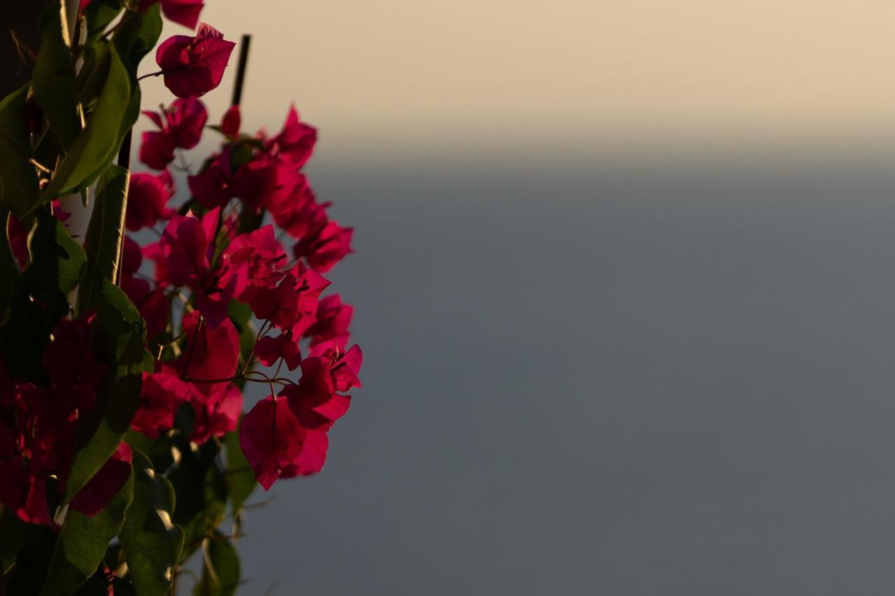 Villa Carpe Diem: Sea & Sunset View In Kea Island Ioulis 외부 사진